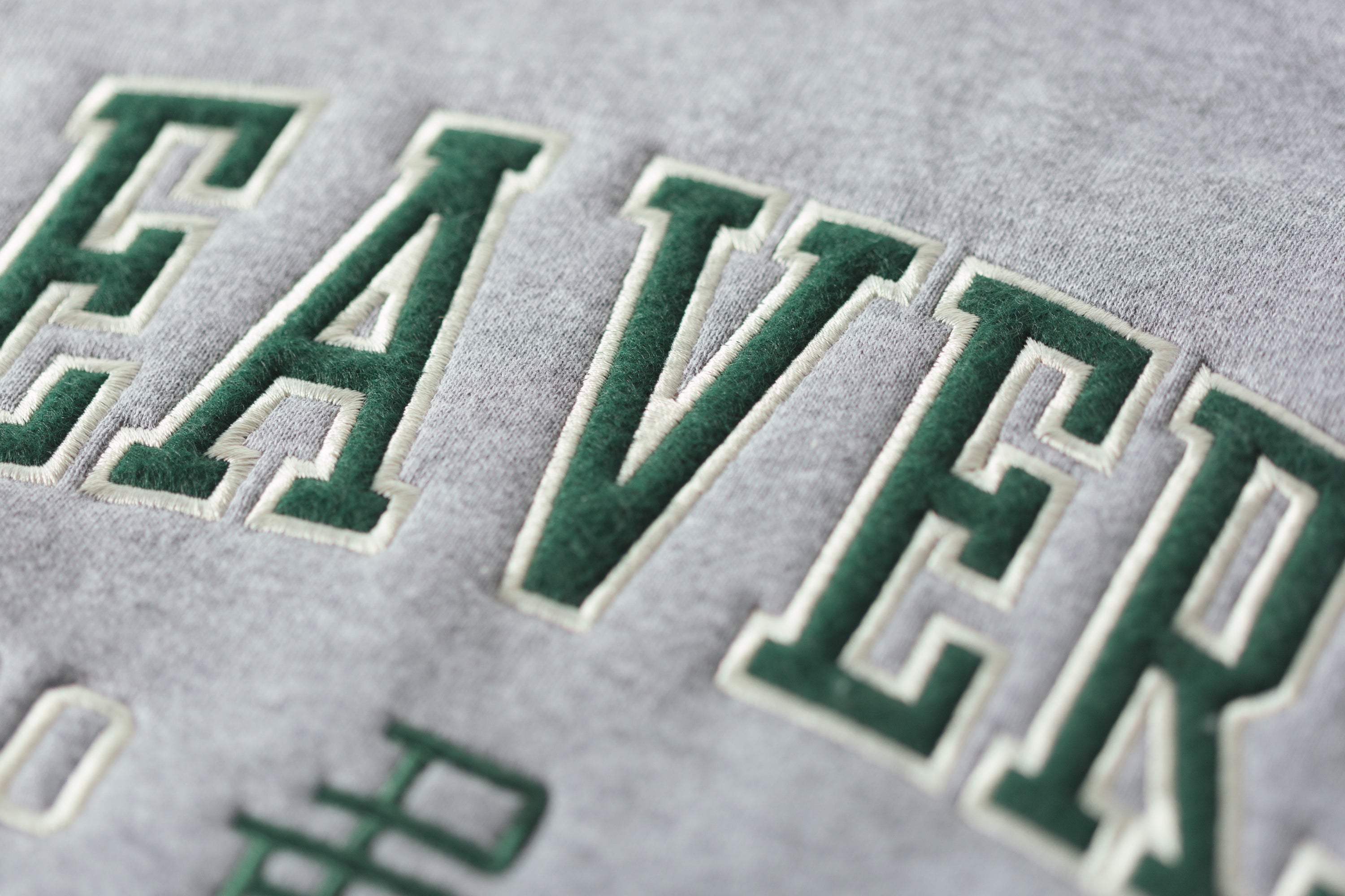 Appliqué embrodiery: Stitching tradition with innovation