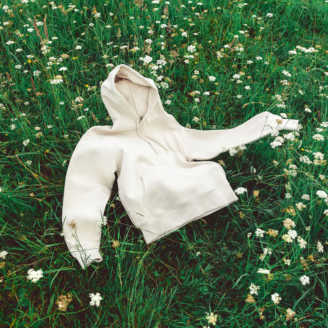 How to Choose the Right AS Colour Hoodie This Winter - 2025 Guide